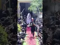 Download Lagu Zuljana Imam Hussain a.s | 9 Muharram, Meerut