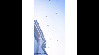 نغمه رنين حزينه نغمه اغنيه شيرين الزمن دا الكدبين اتمكنوا وكتروا 