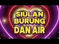 Download Lagu NADA DERING SIULAN BURUNG DAN AIR MENGALIR