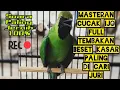 Download Lagu Masteran cucak ijo FuLL tembakan beset kasar || PALING DI CARI JURI