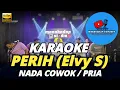 Download Lagu PERIH KARAOKE NADA PRIA/COWOK DANGDUT KOPLO