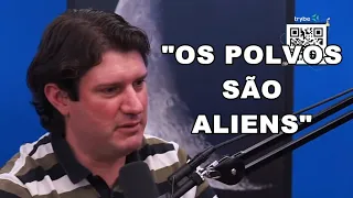 POLVOS SÃO ALIENÍGENAS? - CORTES CIÊNCIA SEM FIM