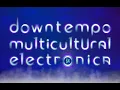 Download Lagu №64 • Downtempo Multicultural Electronica • mixed by DJ Dmitry Raevsky • 2022-03-08
