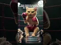 Download Lagu OSVALDO BALBOA #rockbalboa #eyeofthetiger #cat