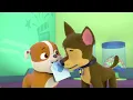Friends Song! 🩷 | Official PAW Patrol Music Video | Songs for Kids