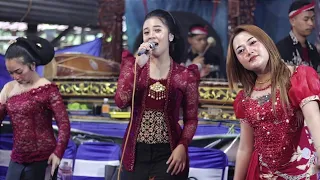 tayub kreasi jaranan seni tayub jaranan jawatimuran