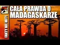 Download Lagu MADAGASKAR - CAŁA PRAWDA