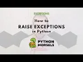 Throwing an exception in Python