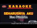 Download Lagu Elsa Pitaloka SEHARUSNYA AKU Karaoke/Lirik