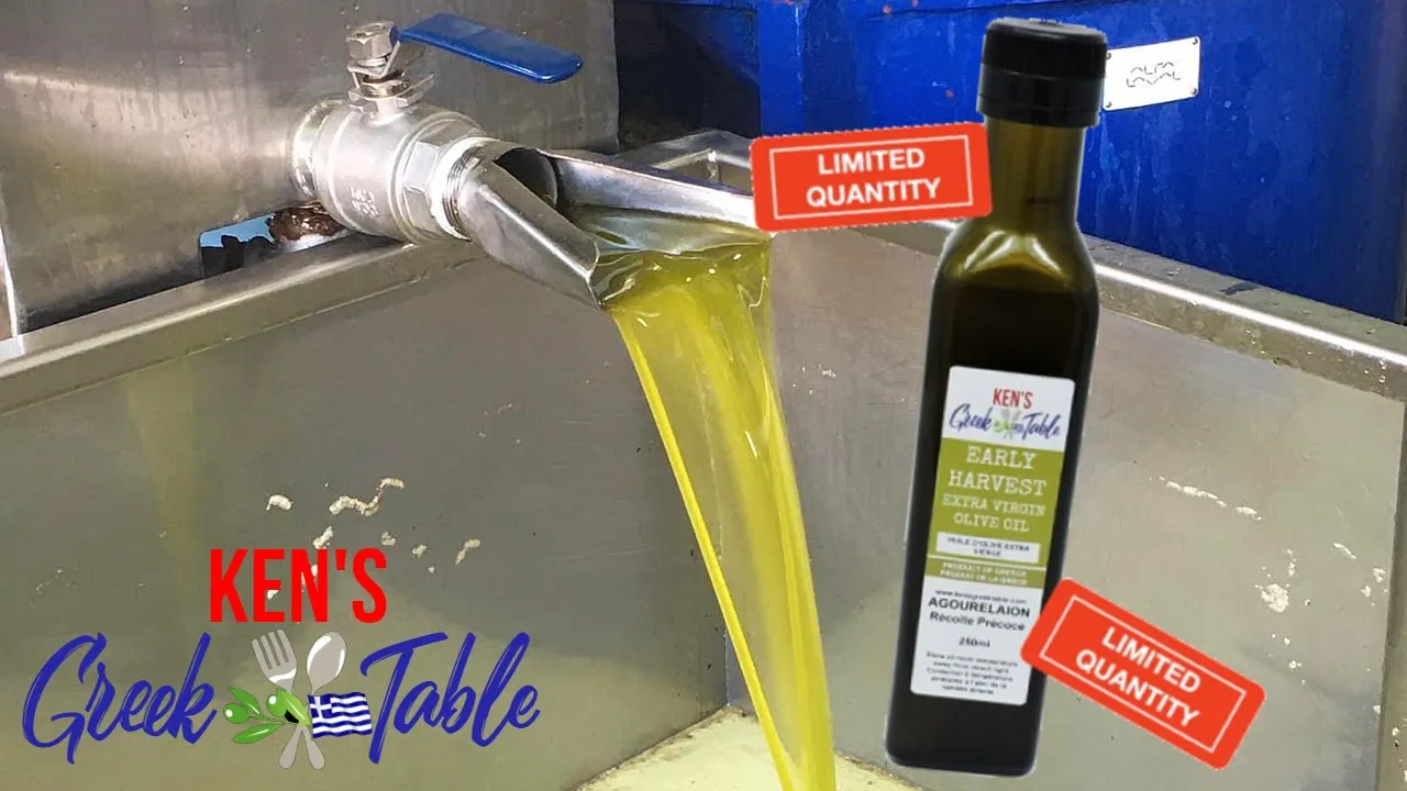 How Early Harvest Extra Virgin Olive Oil Is Produced   Agourelaion   Ken