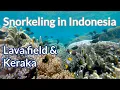 Download Lagu Lava field \u0026 Keraka, Banda Neira - 4K Snorkeling in Indonesia
