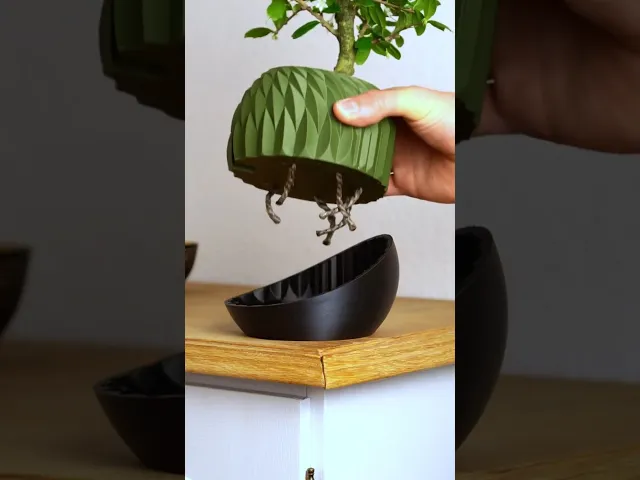 Shape Shifting Plant Pot "Wingcrest" | Self-Watering + Water Level Indicator video thumbnail