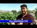 El Paso gardening experts share tips on how to save money on your fall garden