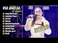 Download Lagu Via Amelia - TETAP MENCINTAI - SENJA DAN PARAS TANPA MAHKOTA || FULL DANGDUT HITS 2024