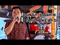 Download Lagu QUEEN 2005 Music Terbaru | Cinta Bukan Daun Keladi | Live Desa Sako Banyuasin