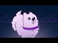 Doguim Amassado | AnimaCÃO