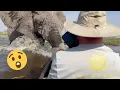Download Lagu Tourists’ Worst Nightmare: Elephant Attack Caught on Camera 😳