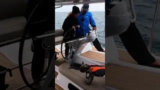 Catamaran Sailing at Its Best! See What It’s Like #shorts | Harbors Unknown