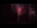 "Wrong Turn in the Woods" | Liminal Ambient Music for Walk & Sleep