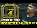 Download Lagu LIMITED EDITION ! KIOS BURUNG2 GACORAN DAN RAWATAN DAN READY BURUNG IDOLA