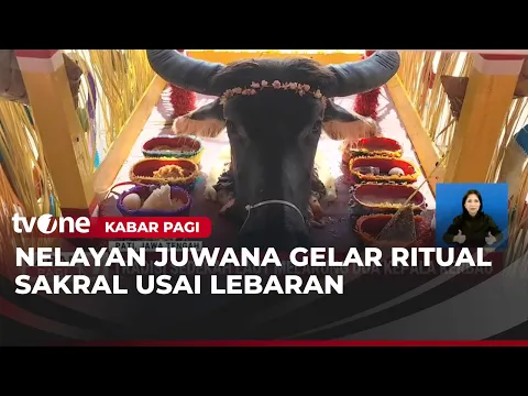 Tradisi Sedekah Laut Dua Kepala Kerbau Digelar setelah Lebaran