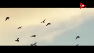 حسن شاكوش جيشنا الأبيض دندنها