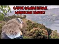 Download Lagu Perjuangan Mengejar Target, Sampai Catok Rusak Karena Terjatuh