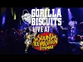 Download Lagu GORILLA BISCUITS @ THE SOUND OF REVOLUTION 2019 EFFENAAR - MULTICAM - FULL SET