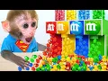Download Lagu Mono Bon Bon y su Divertida Aventura de Jardinería - Animal HT ESP