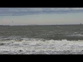 Gulf Shores Red Tide or random fish kill