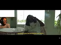 Yolo Reacts To Shreez - Casamigos 2x
