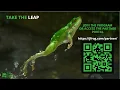 Download Lagu The JFrog Partner Technology Program