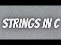 String in C - String Library Functions