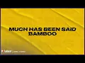 Bamboo - Much Has Been Said (Lyric Video)