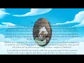 Sonar con mascota Misabueso com
