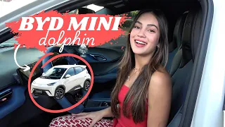 TUDO SOBRE MEU BYD MINI DOLPHIN!!🚙
