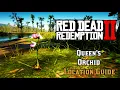Queen s Orchid - Location Guide Red Dead Redemption 2
