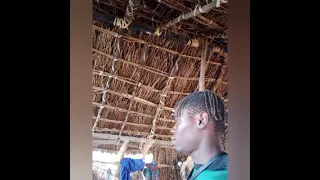 jilunga seni ndama jigoshilaga 0740961617 sebene kali kutoka madulu studio