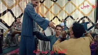 القط أبو عبد الله 