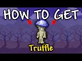 How to get Truffle in Terraria Truffle Terraria