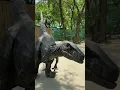 Giant Real Life Dinosaur Theme Park