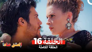 مسلسل العشق عنادا الحلقة 16 Arabic Dubbed 