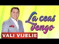 Download Lagu Vali Vijelie - La ceas vengo dibi dibi (Colaj Manele 2022)