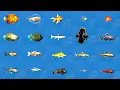 Easily Catch All 21 New Fish IN MINUTES - Skyrim Anniversary Edition Guide