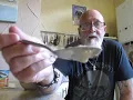 Tapioca Pudding - Food Review