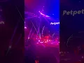 要有音樂際day 2 petpetshawn polar G  zodi 命