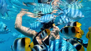 Chilling in Rangiroa or busy in Tahiti? Who has the better lot? – EP 163 Sailing Seatramp