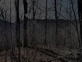 99999 Bryant Road Swannanoa NC 28778 - Land