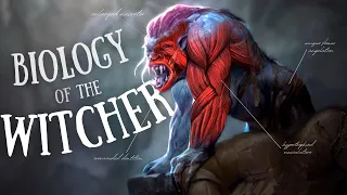 The Disturbing Biology of The Witcher s Creatures