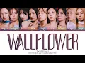 Download Lagu TWICE WALLFLOWER Lyrics (Color Coded Lyrics)